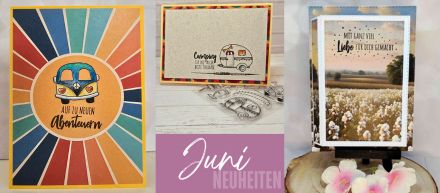 Juni Neuheiten