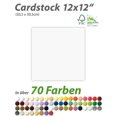 Blanko Cardstock 12