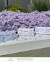 Preview: Kulricke Stanzschablone "Blumengesteck" Craft Die