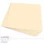 Cardstock 12"x12"  240g/m² (30,5 x 30,5cm) in creme