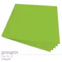 Cardstock 12"x12"  240g/m² (30,5 x 30,5cm) in grasgrün