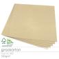 Cardstock 12"x12"  300g/m² (30,5 x 30,5cm) in Graskarton