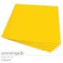 Cardstock 12"x12"  240g/m² (30,5 x 30,5cm) in sonnengelb