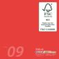 Cardstock 12"x12"  240g/m² (30,5 x 30,5cm) in rot
