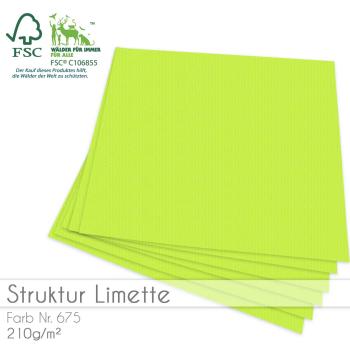 Cardstock "Struktur" 12"x12" 210g/m² (30,5 x 30,5cm) in struktur limette