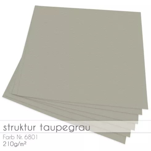 Cardstock "Struktur" 12"x12" 210g/m² (30,5 x 30,5cm) in struktur taupegrau