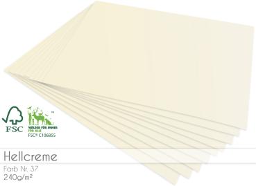 Cardstock - Bastelpapier 240g/m² DIN A4 in hellcreme