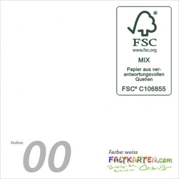 Cardstock 12"x12" 240g/m² (30,5 x 30,5cm) in weiss