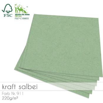 Cardstock 12"x12"  220g/m² (30,5 x 30,5cm) in kraft salbei