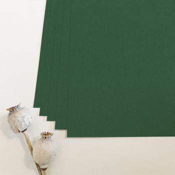 Cardstock "Premium" 12"x12" 225g/m² (30,5 x 30,5cm) in waldgrün