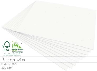 Cardstock - Bastelpapier 220g/m² DIN A4 in puderweiss