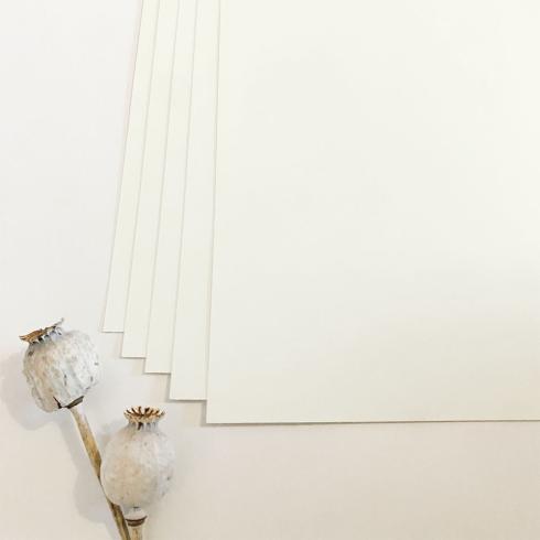 Cardstock - Bastelpapier 240g/m² DIN A4 in elfenbein - 5 Bogen