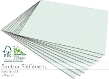 Cardstock - Bastelpapier 210g/m² DIN A4 in struktur pfefferminz