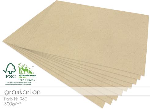 Cardstock - Bastelpapier 300g/m² DIN A4 in Graskarton