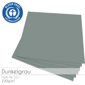 Cardstock "Basic" 12"x12" 220g/m² (30,5 x 30,5cm) in dunkelgrau