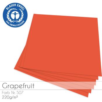 Cardstock "Basic" 12"x12" 220g/m² (30,5 x 30,5cm) in grapefruit