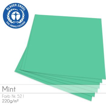 Cardstock "Basic" 12"x12" 220g/m² (30,5 x 30,5cm) in mint