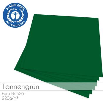 Cardstock "Basic" 12"x12" 220g/m² (30,5 x 30,5cm) in tannengrün