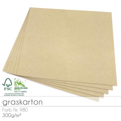 Cardstock 12"x12"  300g/m² (30,5 x 30,5cm) in Graskarton