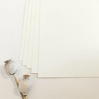 Preview: Cardstock - Bastelpapier 240g/m² DIN A4 in elfenbein - 25 Bogen