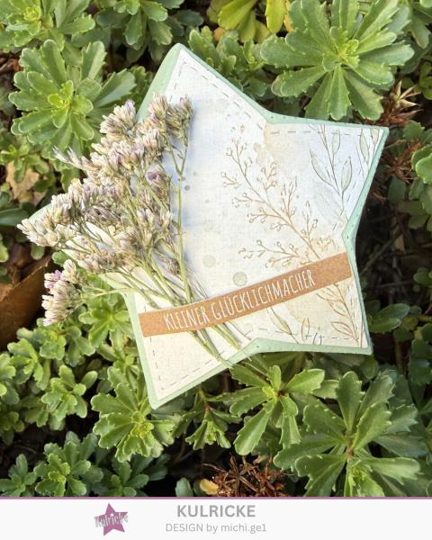 Kulricke Stanzschablone "Sternbox" Craft Die 