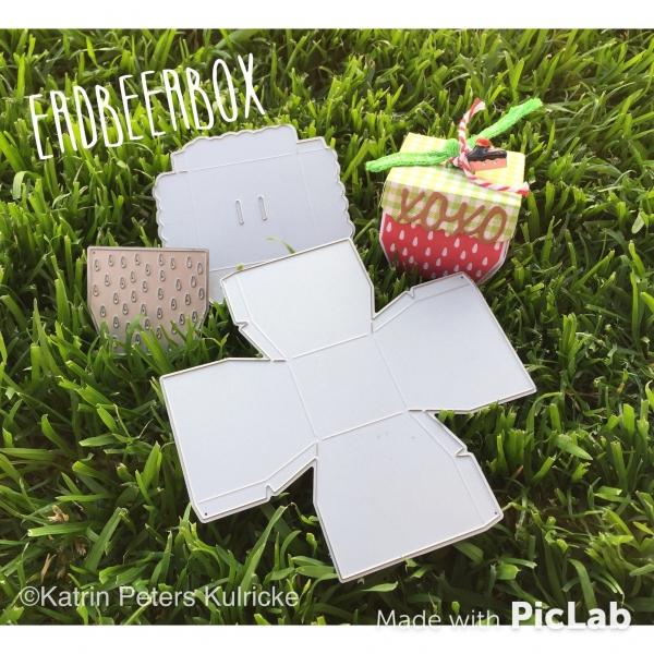 "Erdbeerbox" Stanze - Craft Die
