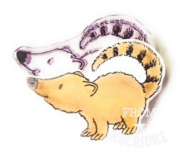 Nasenbär Nele