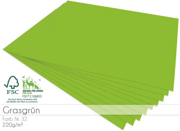 Cardstock "Premium" - Bastelpapier 220g/m² DIN A4 in grasgrün - 5 Bogen