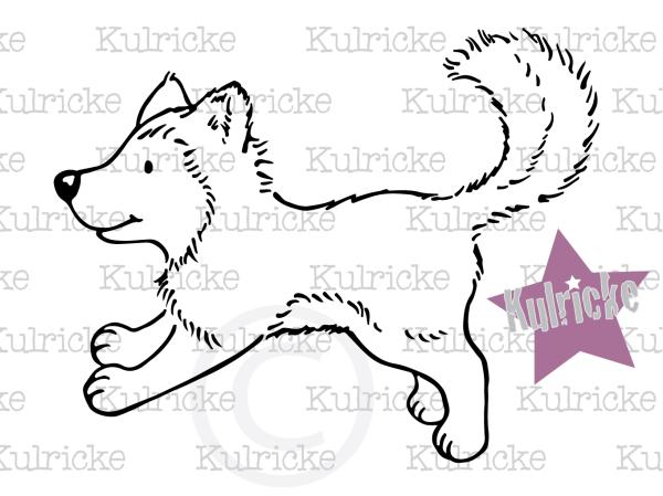 https://www.kulricke.de/product_info.php?info=p334_-husky---balu-.html