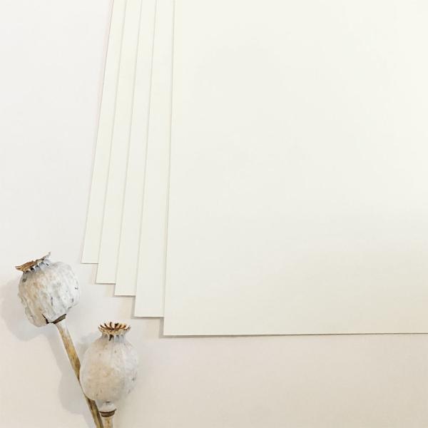 Cardstock - Bastelpapier 240g/m² DIN A4 in elfenbein - 25 Bogen